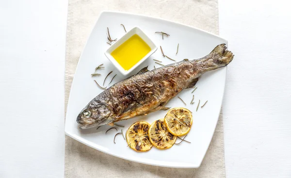 Grilled trout with lemon and rosemary — Stock Photo, Image