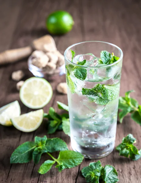 Copo de mojito com ingredientes — Fotografia de Stock