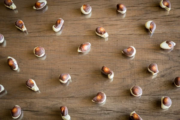 Chocolates Seashells — Fotografia de Stock