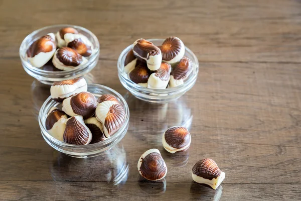 Chocolates Seashells — Fotografia de Stock