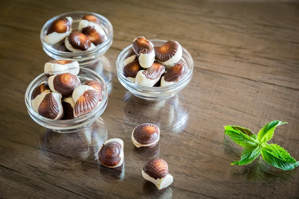 Chocolates Seashells — Fotografia de Stock