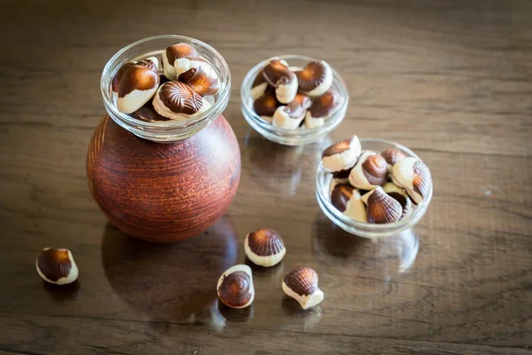 Seashells chocolates — Stock Photo, Image