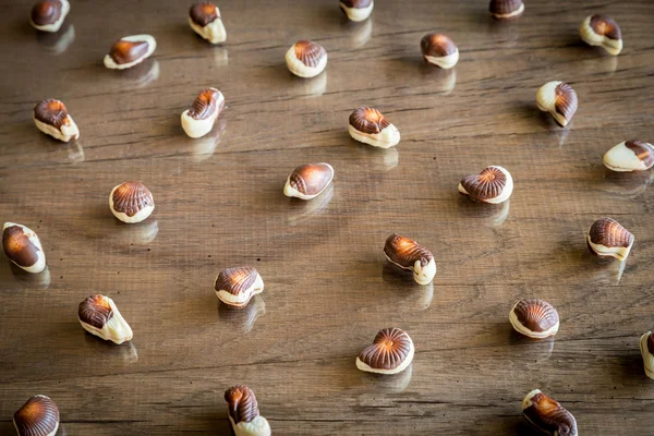 Chocolates Seashells — Fotografia de Stock