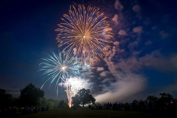 Gente mirando fuegos artificiales en honor al Día de la Independencia — Foto de Stock