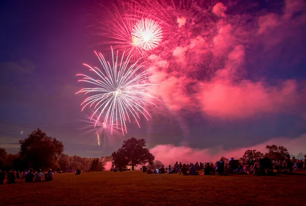 People looking at fireworks in honor of Independence Day