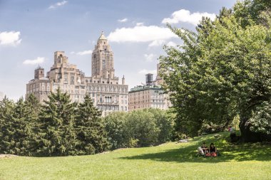 New York 'taki Central Park