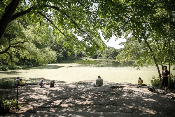 Vista sobre a lagoa de tartarugas no Central Park em Nova York — Fotografia de Stock