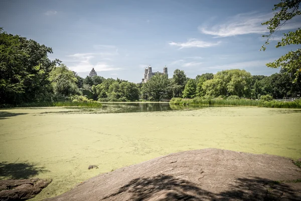 New York'taki Central Park'ta kaplumbağa gölet görüntüleyin — Stok fotoğraf