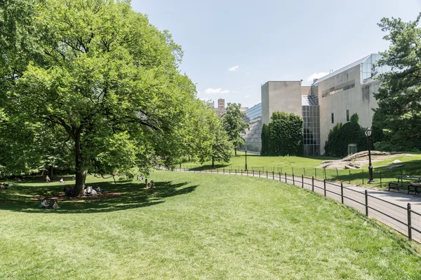 O Museu Metropolitano de Arte - vista do Central Park — Fotografia de Stock