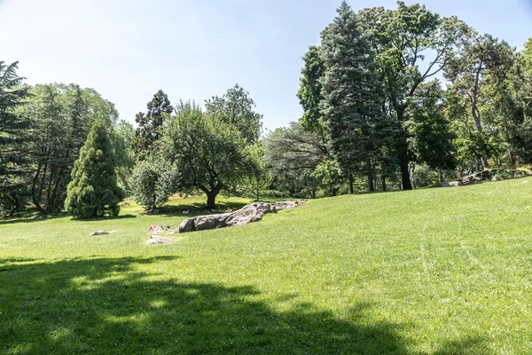 New York 'taki Central Park — Stok fotoğraf