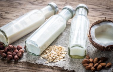 Non-süt süt farklı türleri