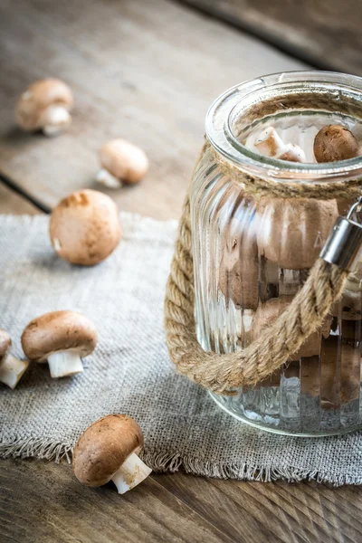 Coklat champignon jamur pada latar belakang kayu — Stok Foto