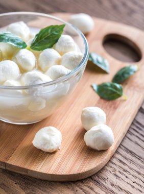 Taze Fesleğenli mozzarella Bocconcini kase