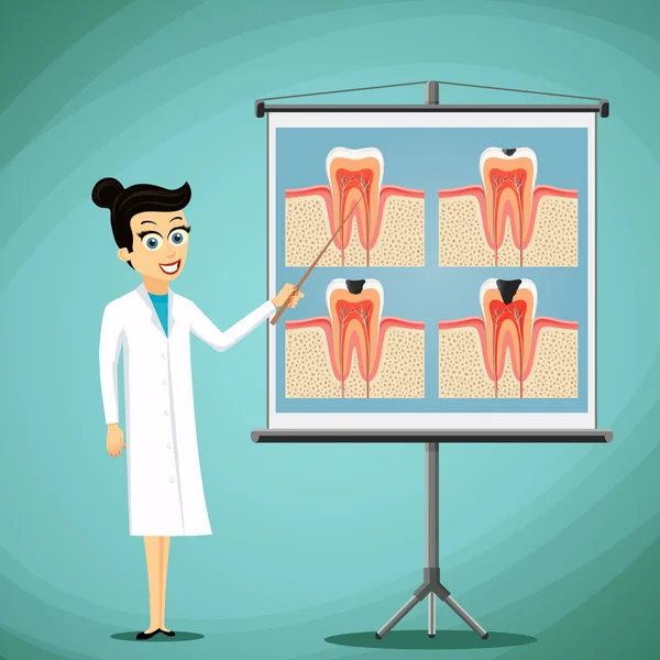 Medico dentista mostra su un diagramma lavagna del dente umano . — Vettoriale Stock