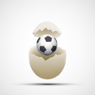 Tavuk yumurta futbol topu
