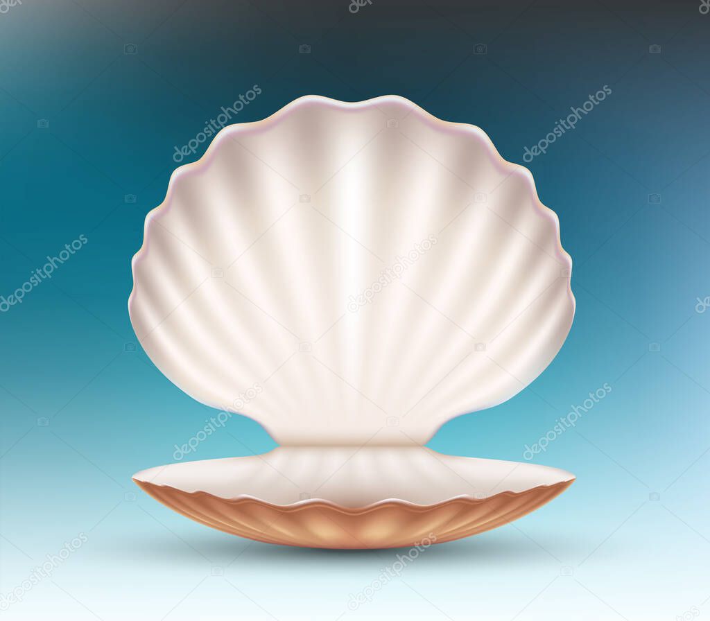 Open empty seashell. Vector mockup for presentation