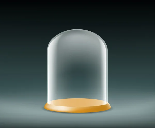Glazen koepel op een donkere achtergrond — Stockvector