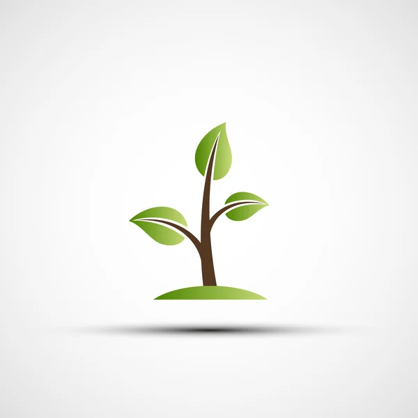 Wektor zielony gałęzie z liśćmi — Wektor stockowy