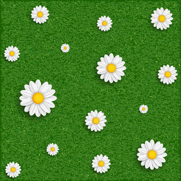Achtergrond van gras en bloemen. Vector afbeelding. — Stockvector