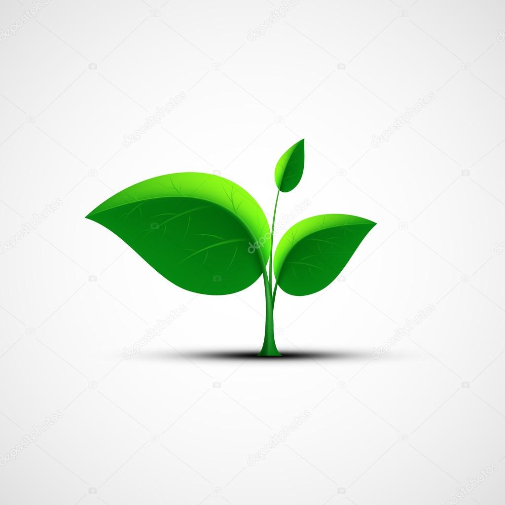 Green leaf logo. Vector image.