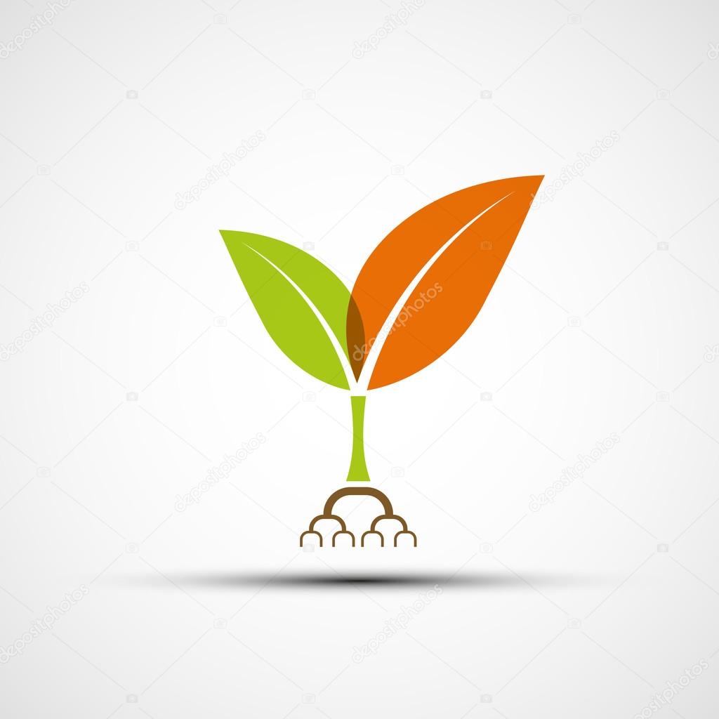 Logo plants with colorful leaves. Vector image.