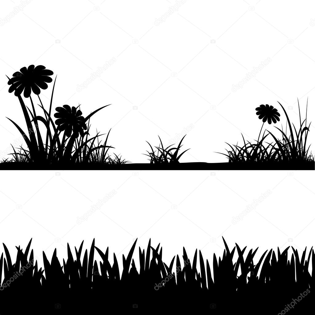 grass silhouettes isolated on white