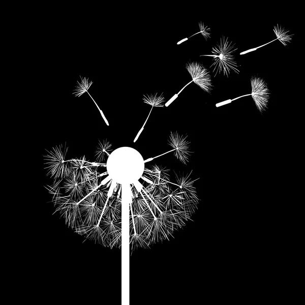Silhouette de fleurs de pissenlit — Image vectorielle