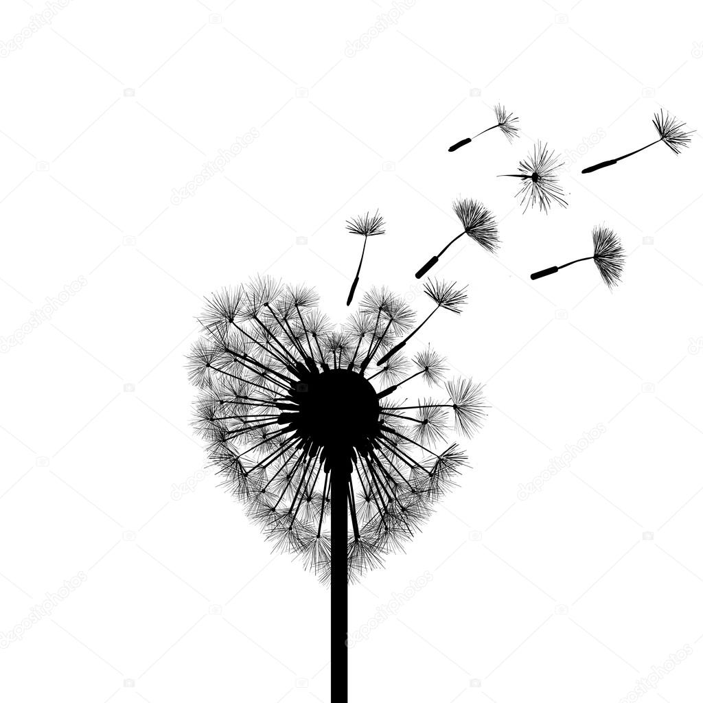 Silhouette dandelion in form of heart