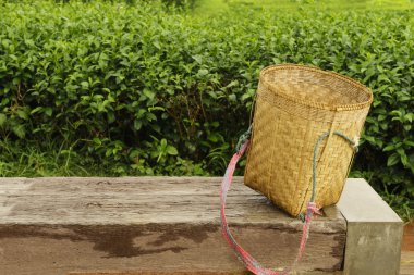 Matcha green  tea picker bags or basket on big log. clipart