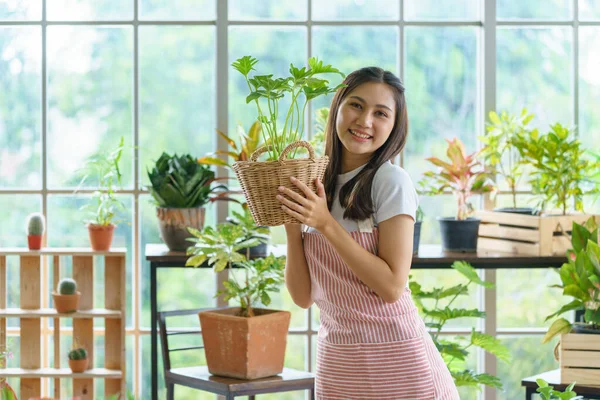 Çiçekçide, önlüklü bir kadın girişimci elinde rattan sepet saksısı tutuyor. Çiçekçi, botanikçi, çocuk odasında çalışıyor. Ticaret alışverişi, Küçük işletme ve Hobi.