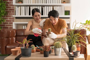 Mutlu Asyalı çiftler boş zamanlarını kaktüs bitkisine bakmakla ve hafta sonları birlikte oturma odasında su püskürterek geçirirler. Keyif Alma Konsepti, en sevdiği hobi, Ev Bitkileri.