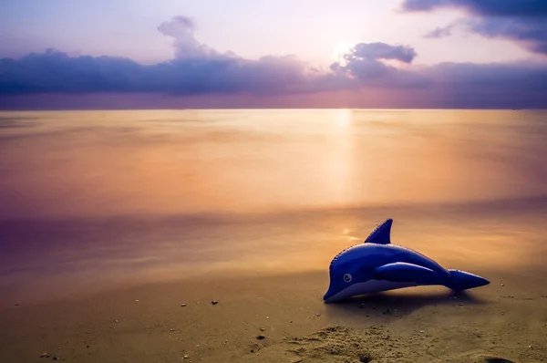 Blue dolphin in the background of a beautiful sunset — Stock Photo, Image