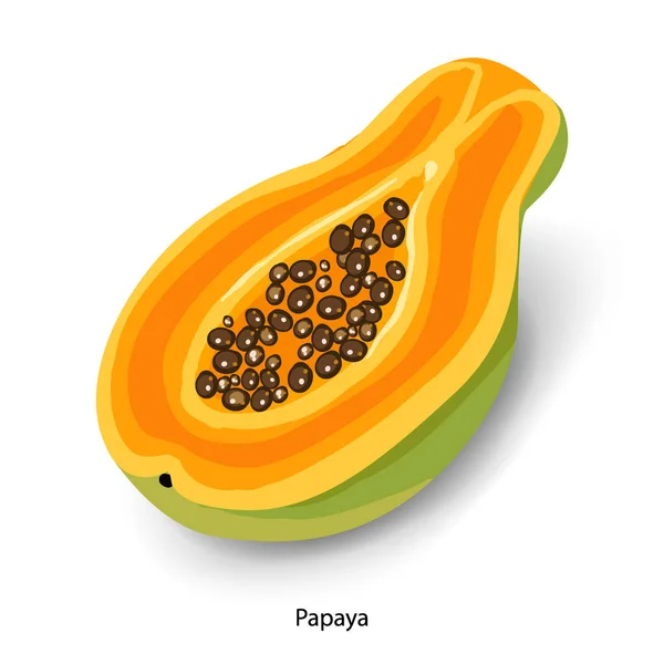 Illustrazione vettoriale del fumetto di papaya affettata. Cibo biologico, dolce dolce, frutta tropicale matura. Mezza papaia con semi, ingrediente esotico per insalata isolato su sfondo bianco — Vettoriale Stock