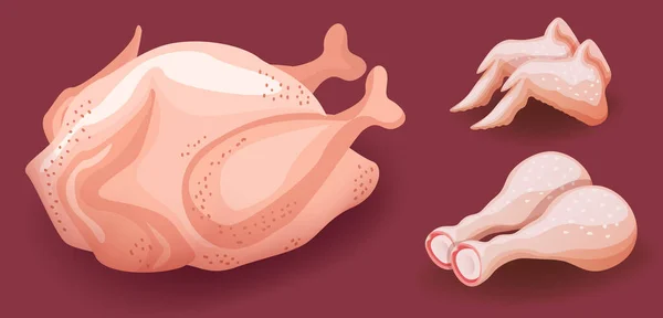 Hela rå kyckling kött ikoner, vingar och trumpinnar, vektor illustration — Stock vektor
