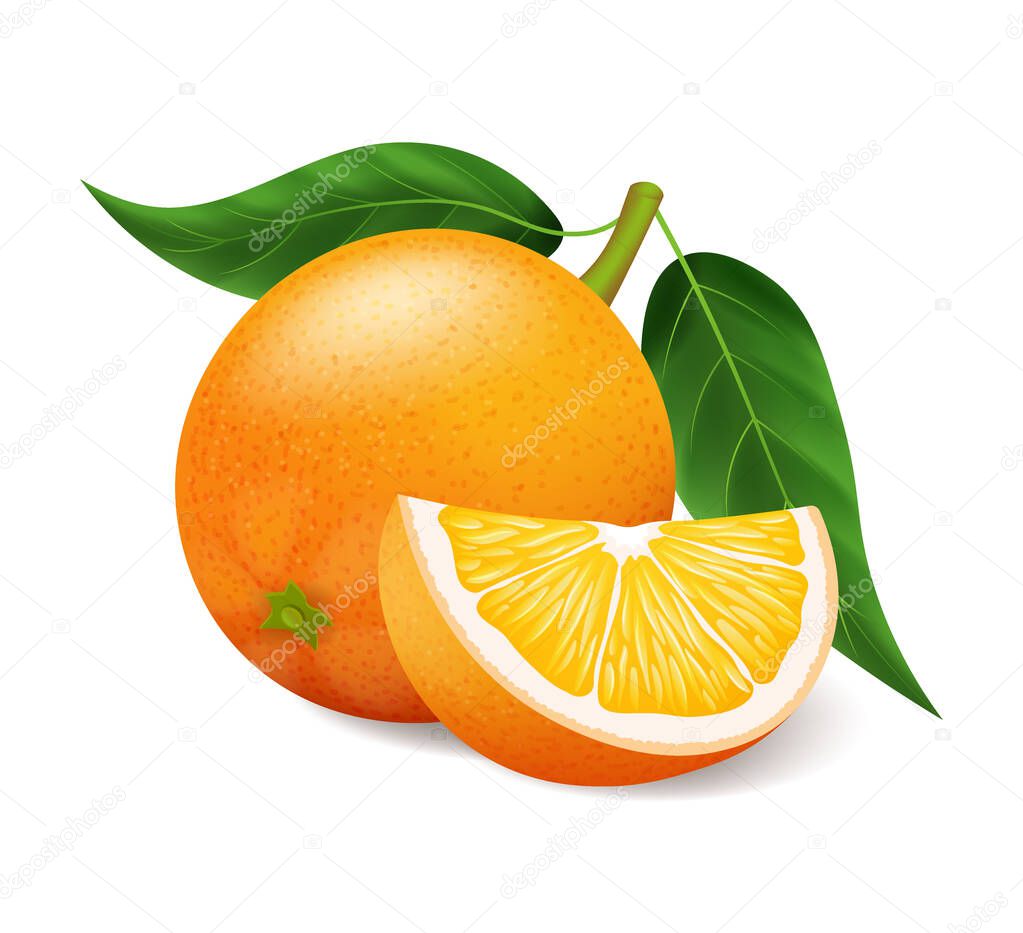 Realistic oranges with green leaf whole and sliced, sour fresh fruit, bright yellow peel, orange vector illustration isolated on white background
