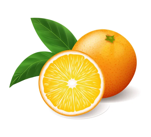 Realista naranja amarillo brillante con hojas verdes enteras y vector en rodajas — Vector de stock