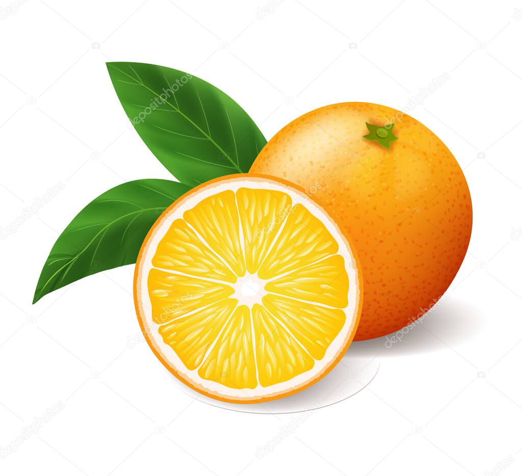 Realistic oranges with green leaf whole and sliced, sour fresh fruit, bright yellow peel, orange vector illustration isolated on white background
