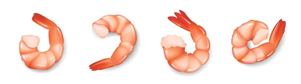 Conjunto realista de camarones aislados sobre fondo blanco, gambas aperitivo de alimentos marinos frescos, ilustración vectorial. — Vector de stock