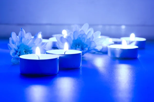 Niebieski kwiat i herbaty świece — Zdjęcie stockowe