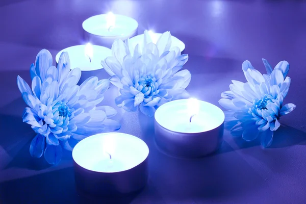 Flor azul y velas de té — Foto de Stock