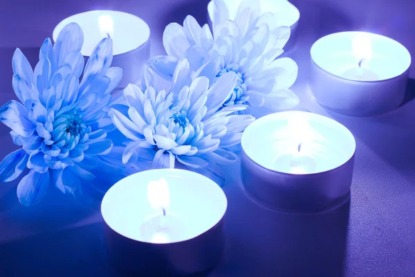 Синий цветок и чайные свечи — стоковое фото