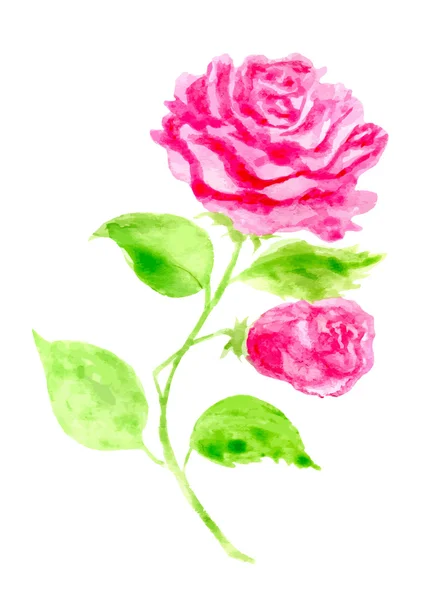 Hand getekend Rose. Vectorillustratie voor wenskaarten, uitnodigingen afdrukken en andere web-projecten — Stockvector