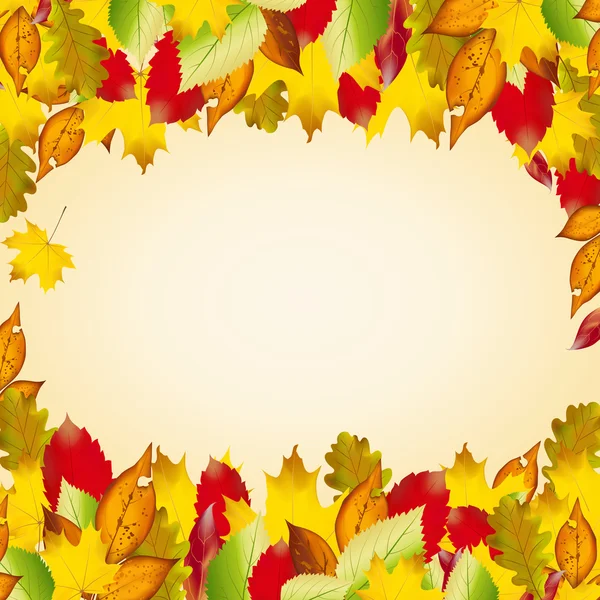 Vector of autumn  colorful leaves. Fall background. — Stock Vector