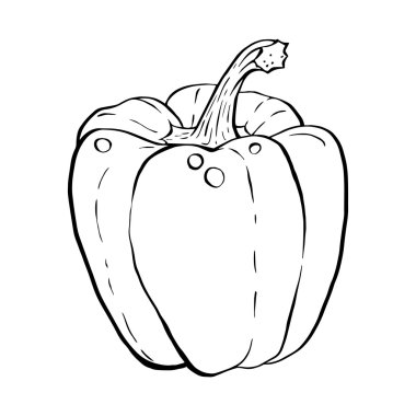 Anahat el çizilmiş kroki kırmızı biber