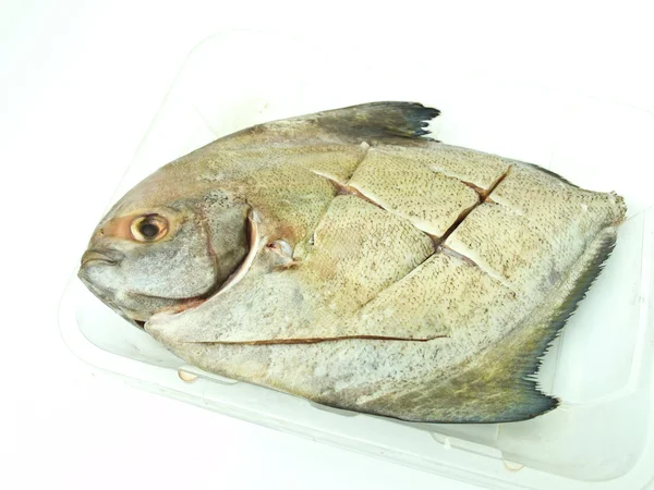 taze butterfish üzerinde beyaz izole bir temizlenen plastik tepsi