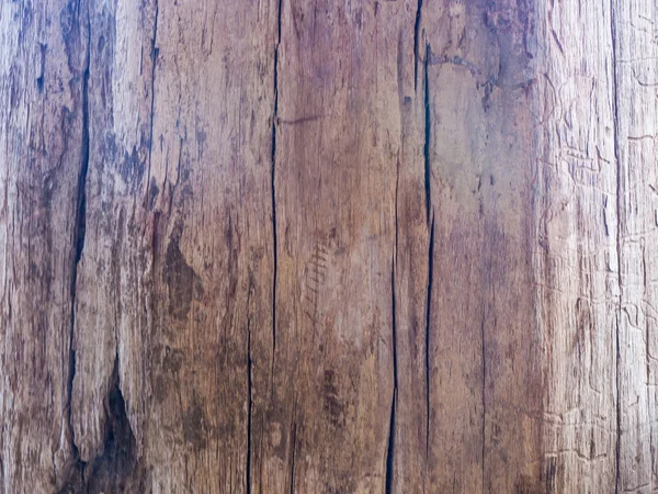 Old wooden bark in nature — Stock Photo, Image