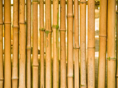 Bambu çit arka plan