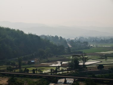 Paddy alan yakın Mae Suay depo, Chiang rai, Tayland 