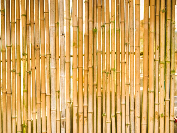 Bambu çit arka plan
