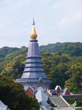 Menekşe pagoda dağ Chiang Mai, Tayland